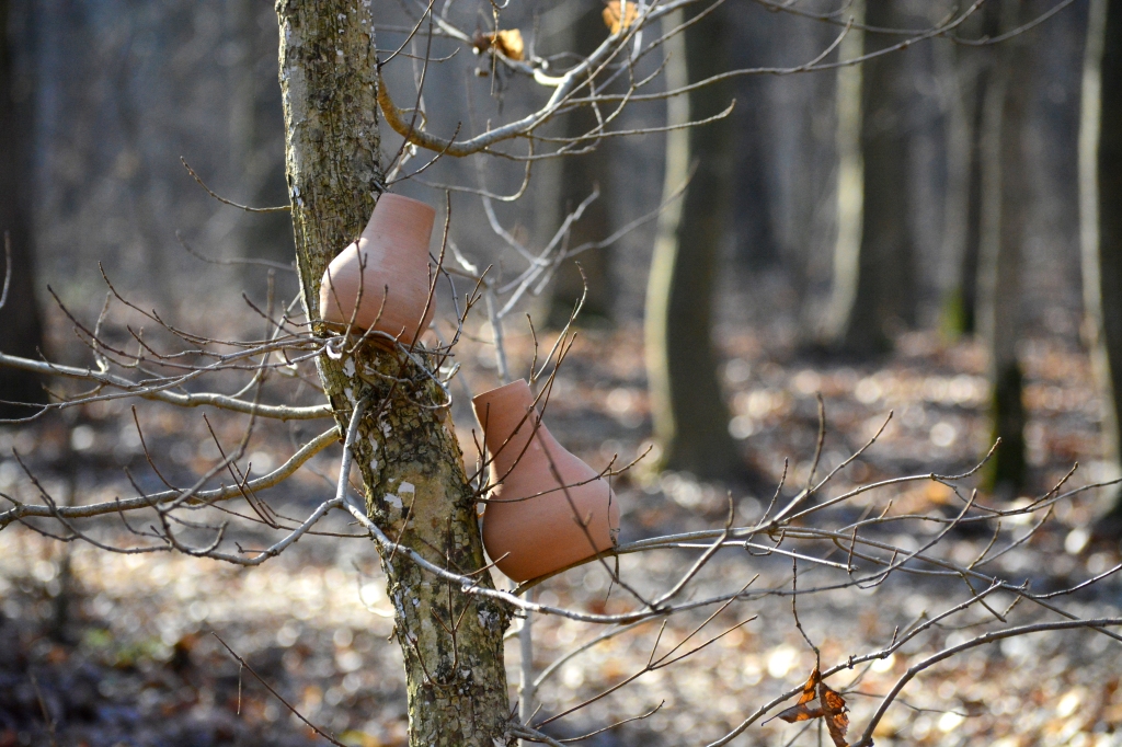 ceramical-terracotta-collection-winter-forest-landscape
